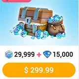 29999 Étoile du Givre